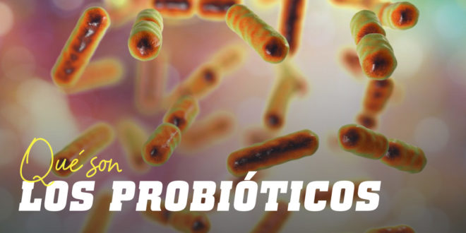 que son los probióticos para la salud